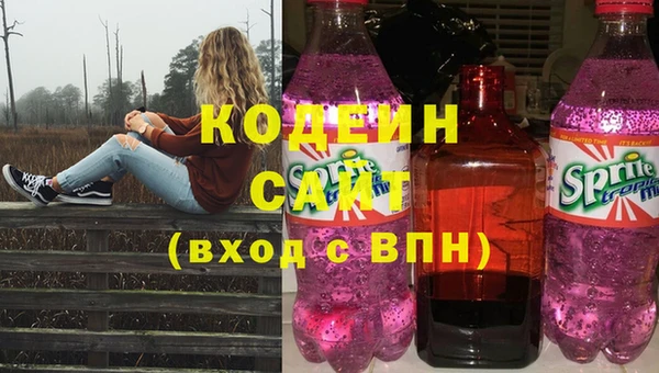 ГАЛЛЮЦИНОГЕННЫЕ ГРИБЫ Арсеньев