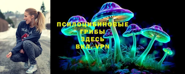 ГАЛЛЮЦИНОГЕННЫЕ ГРИБЫ Арсеньев