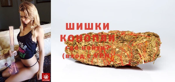 ГАЛЛЮЦИНОГЕННЫЕ ГРИБЫ Арсеньев