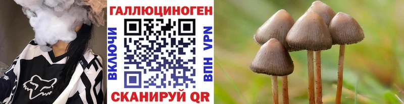 Галлюциногенные грибы Psilocybine cubensis  Пыть-Ях 